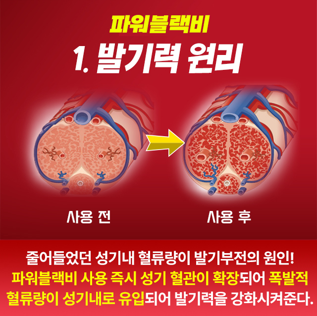 발기력 원리