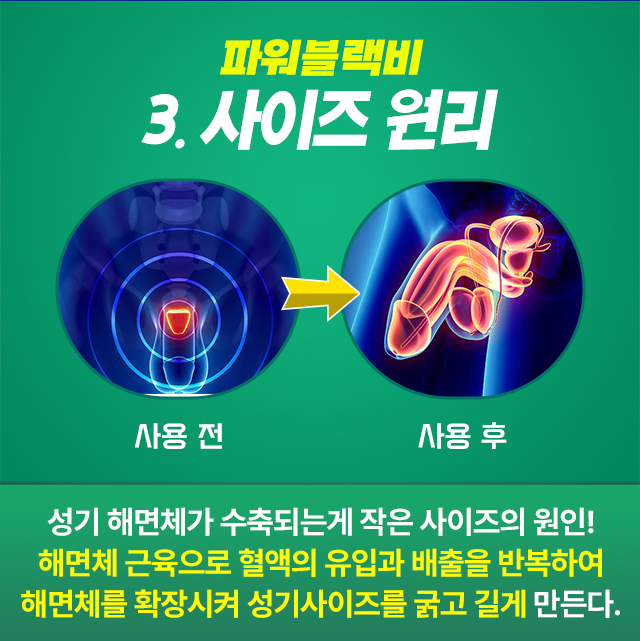 사이즈 원리