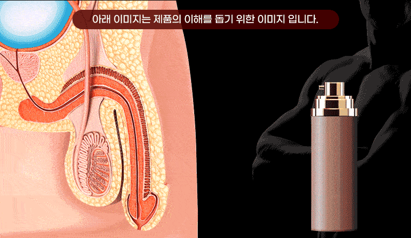 뿌리는 영상